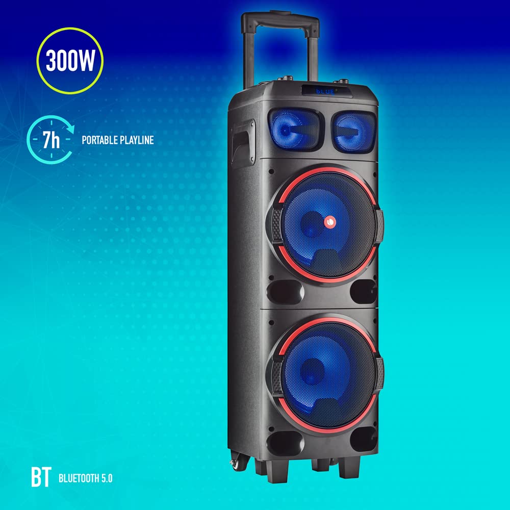 Altavoz Portable con Bluetooth NGS Wild Dub 1/ 300W